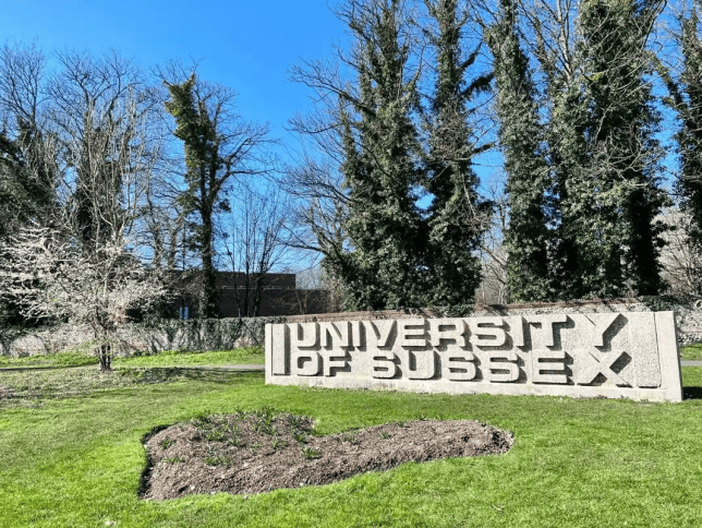 cN00zbN01oQst9sc.jpg