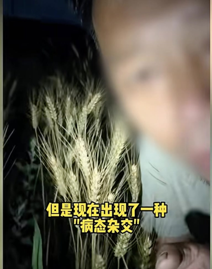 ZPUhnU3dbDC0ui0h.jpg