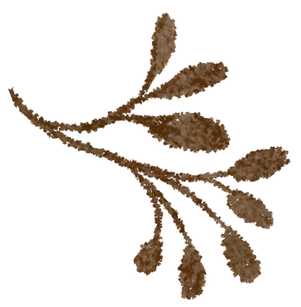 QhJhc2pGpKnP7857.jpg