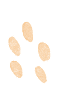 NgFDec8RCPzyRrZl.jpg