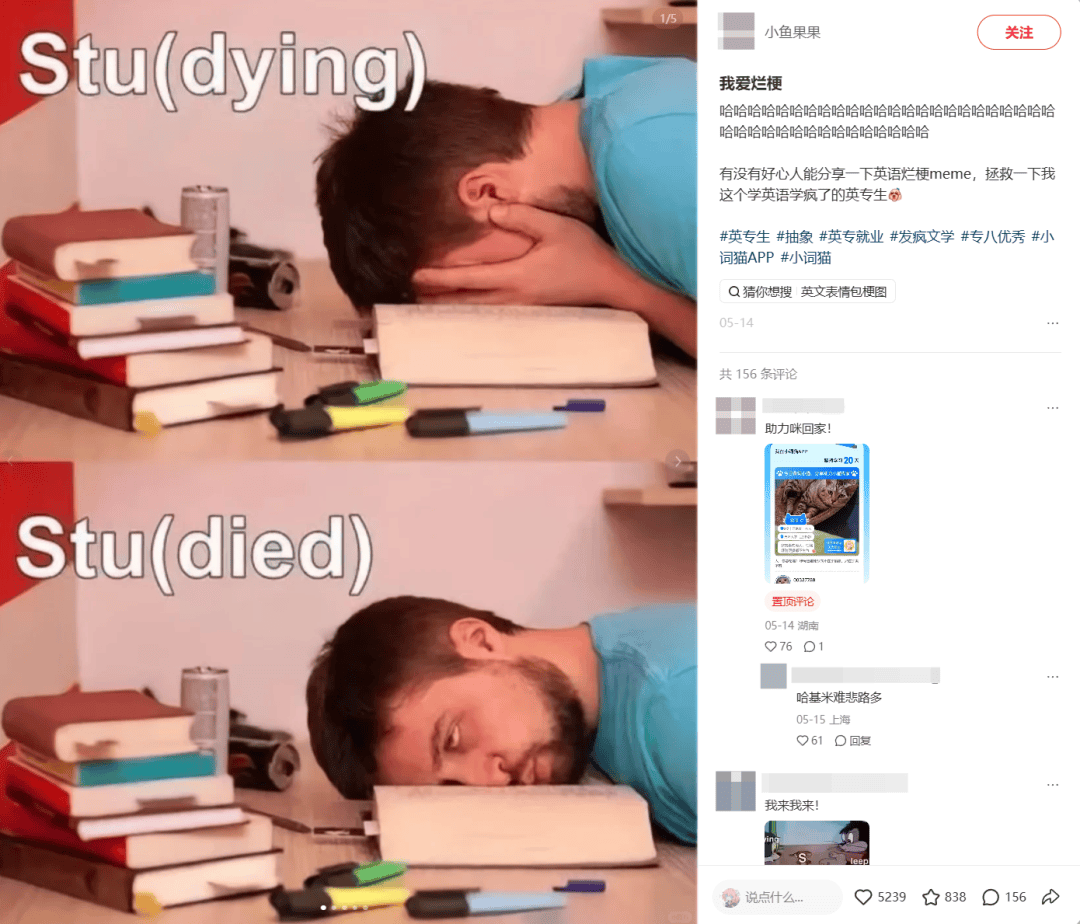 Z817KkZK4mx4M44y.jpg