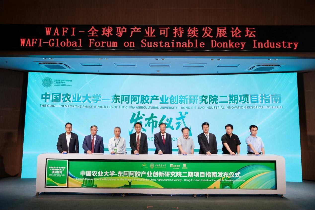 obCC7iiIcneFmi5s.jpg